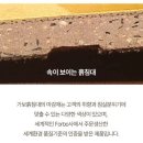 F6650 이미지