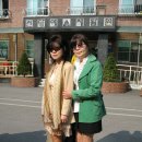 입석4리 Daum카페