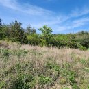 용암태양광발전소 이미지