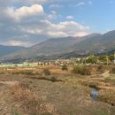 우 상인 농장 이미지