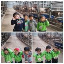 큐리어스어린이집 이미지