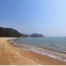 조수돗곳물 네이버블로그