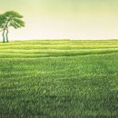 사시사철-풍요 이미지