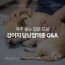 심동물병원 이미지