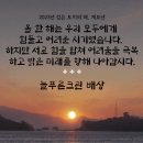 늘푸른크린