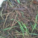 교산저수지 이미지