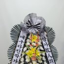 대구사진작가인쇄앨범 협동조합 Daum카페