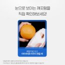 더착한클린인 | 마이비데 클린케어 화장실용 물티슈 캡형, 80개입 위생의 새로운 기준!