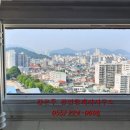 완월동197 이미지