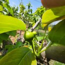 유인농장 이미지