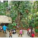 서울화원 이미지