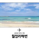 월정리 티스토리