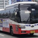 영덕운수 이미지