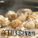 모먼트페이지 이미지