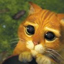 오원석 황금동물병원 이미지