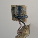 금성비디오 이미지