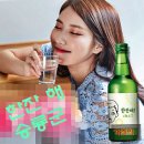 한잔해 Daum카페