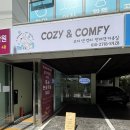 동남로 81길 | 강동구 고덕동 반려견 미용실 &#39;코지앤컴피&#39; 내돈내산 후기