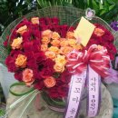 한솔화원 이미지