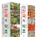 한국의약초