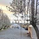 (주)하우징앤투어 | 충남 예산 팜앤투어캠핑장 만개한 배꽃과 함께한 캠핑 후기