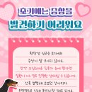 웰 동물병원 이미지