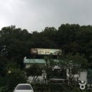 콩지