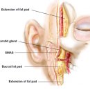 광양피부과의원 이미지