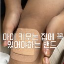 타다밴드 | 킥보드 타다 넘어진 아들, 이 밴드 하나로 해결했어요 케어리브 밴드 솔직 후기