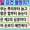 발건강 이미지