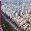 더오션부동산 공인중개사사무소 이미지