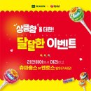 리안 헤어 이미지