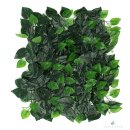 별동자리 이미지