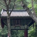 덕고개정육식당양주 이미지