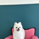 홀리몰리살롱 이미지