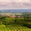 시티 행정사사무소 이미지