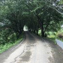 우곡초등학교 도진분교장 이미지