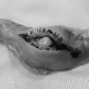 이레외과동물병원 이미지