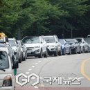 시민로66번길 국제뉴스