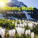 성성우성@ 이미지