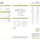 골드리버 이미지