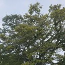 중부종합관리 | 괌 시내+중부 투어 택시로 완벽하게! 괌조아닷컴이 안내하는 한인택시 투어 완벽 가이드 🌺🚖