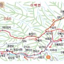 구룡중식 Daum카페