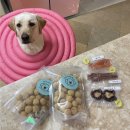 다비다펫푸드 이미지