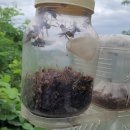 종현농장 2 이미지