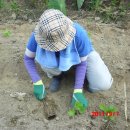 심가네농장 이미지