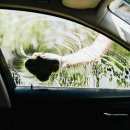 믿음셀프세차장 (믿음자동차마을) 이미지