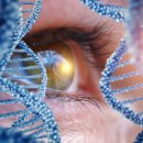 (주)루미아이제네틱스 이미지