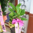 미림목장 이미지