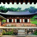 311 Daum카페
